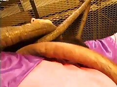 TSW93 Sensational Beauty Takes It Hard and Deep from Handsome Stud's Cock