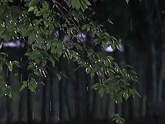 CAWD-612 Dark-Haired Japanese Girl Screams With Pleasure During Vigorous Sex